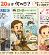 【8月20日は何の日？】🚦交通信号設置記念日🦟蚊の日👶誕生記念筆の日のサムネイル