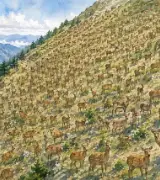 🦌🦌🦌【鹿多すぎ問題】南アルプスの山肌に約500頭…地元住民も「見たことない」😳のサムネイル