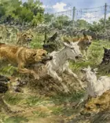 😱🐕【人が襲われるのも時間の問題…】野良犬の群れがヤギを次々襲撃…宮古島で約60頭が被害に…のサムネイル
