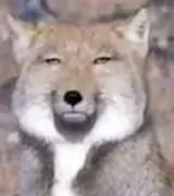 ありえない　はなしのサムネイル