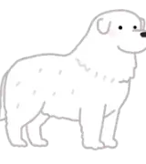 大型犬を飼ってみたい。のサムネイル