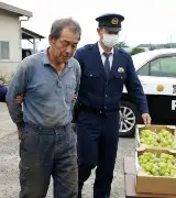 シャインマスカット泥棒逮捕のニュース、犯人の「まさかの職業」を知って絶望した…これは絶対に許してはいけない。のサムネイル