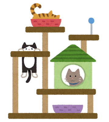 キャットタワー完全敗北。猫たちが選んだのは「床」でした。のサムネイル