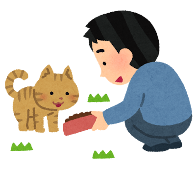 「もう最初から住むつもりだった？」野良から家猫デビューして2日、極楽を見つけた猫たちの結末のサムネイル