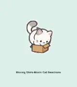 動く！しろもち猫の無言リアクション｜文字なしで伝わるLINEスタンプ24個のサムネイル