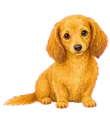 動く！水彩絵本のダックスフンド｜文字なしで気持ちが伝わるLINEスタンプ24個のサムネイル