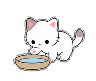 しろもち猫が水を肉球で触る実物アニメーションLINEスタンプ