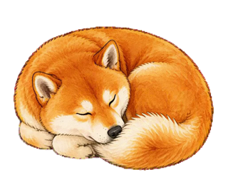 丸くなって眠る柴犬
